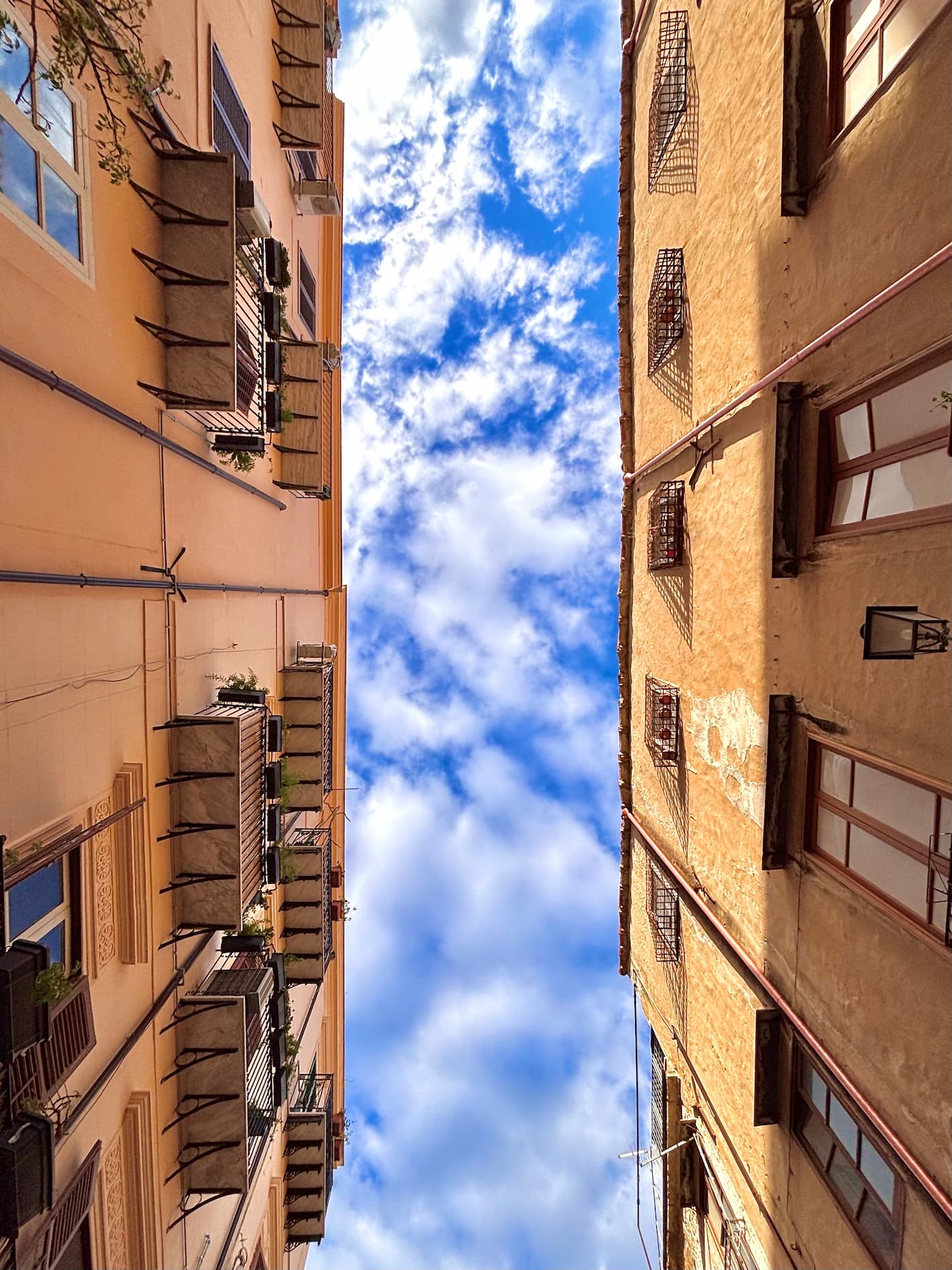 Looking up
