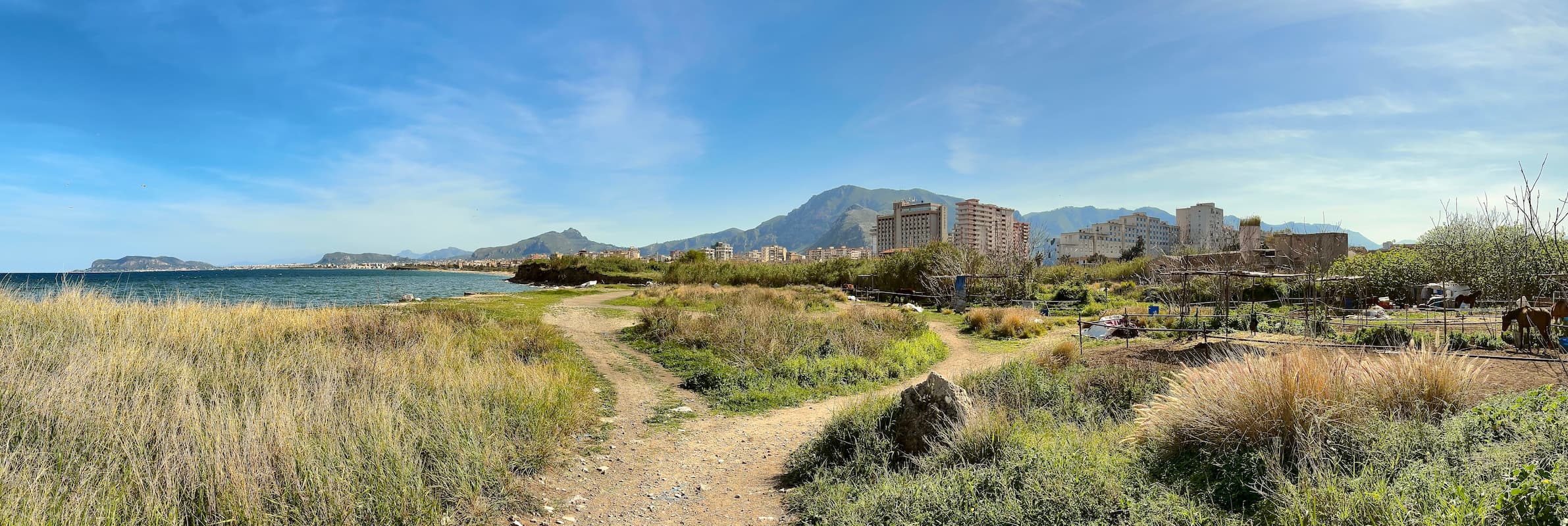 The wild coast of Palermo